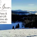 Gruener Baum Naturparkhotel & Schwarzwald-restaurant טודנאו