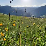 Gruener Baum Naturparkhotel & Schwarzwald-restaurant 3*