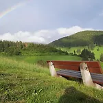 מלון Gruener Baum Naturparkhotel & Schwarzwald-restaurant 3*