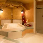Gruener Baum Naturparkhotel & Schwarzwald-restaurant 3*