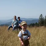Gruener Baum Naturparkhotel & Schwarzwald-restaurant 3*