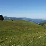Gruener Baum Naturparkhotel & Schwarzwald-restaurant מלון