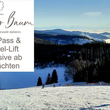 Gruener Baum Naturparkhotel & Schwarzwald-restaurant 托特瑙