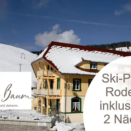 Gruener Baum Naturparkhotel & Schwarzwald-restaurant מלון 3*