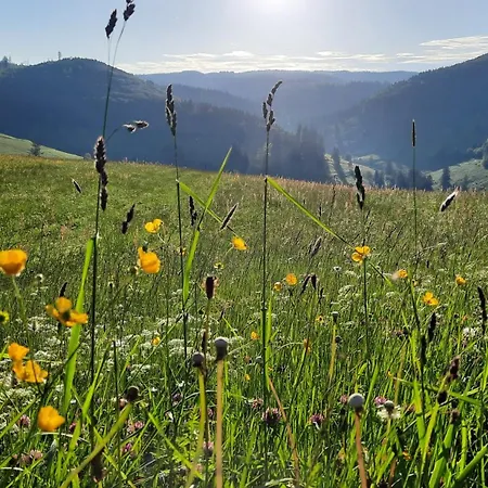 Gruener Baum Naturparkhotel & Schwarzwald-restaurant 3*