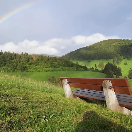 מלון Gruener Baum Naturparkhotel & Schwarzwald-restaurant 3*