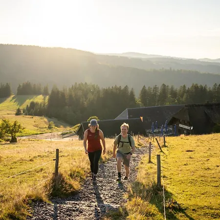Gruener Baum Naturparkhotel & Schwarzwald-restaurant Todtnau