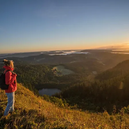 Gruener Baum Naturparkhotel & Schwarzwald-Restaurant 3* Todtnau
