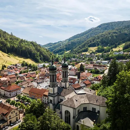 Gruener Baum Naturparkhotel & Schwarzwald-restaurant 酒店