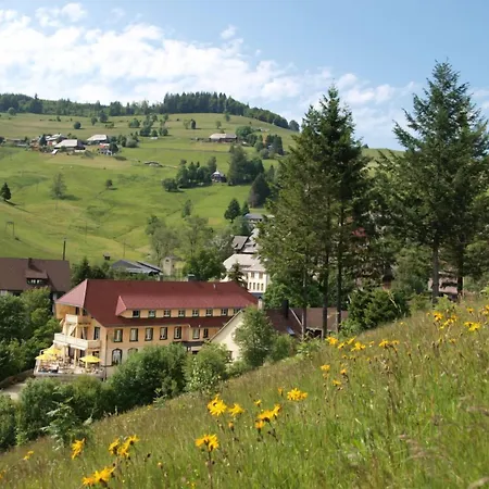 Gruener Baum Naturparkhotel & Schwarzwald-Restaurant Todtnau