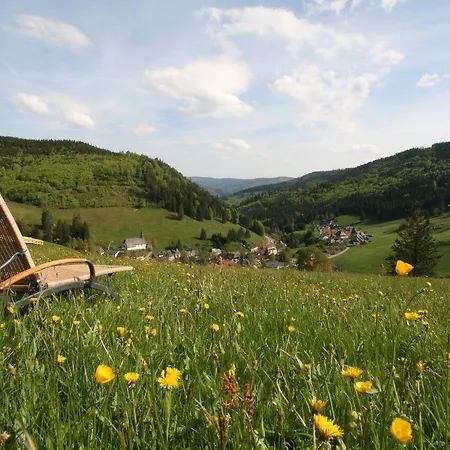 Gruener Baum Naturparkhotel & Schwarzwald-restaurant
