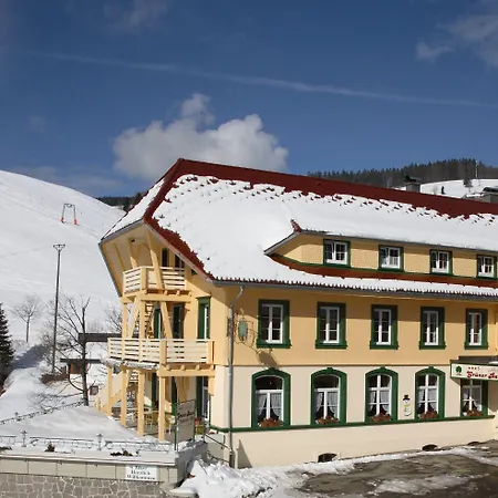 Gruener Baum Naturparkhotel & Schwarzwald-restaurant 酒店