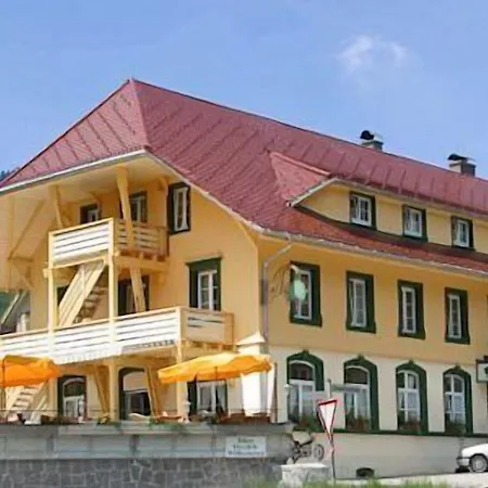 Hotel Gruener Baum Naturparkhotel & Schwarzwald-restaurant Todtnau