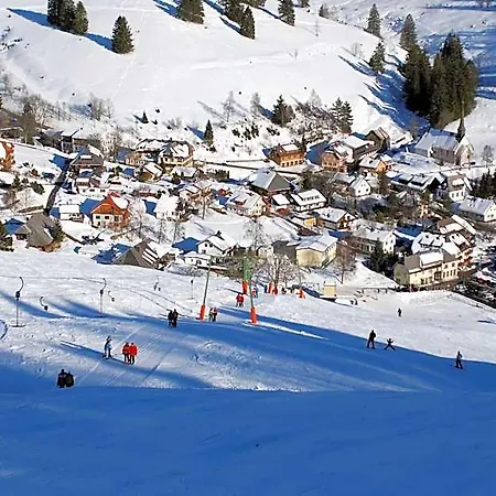 מלון Gruener Baum Naturparkhotel & Schwarzwald-restaurant