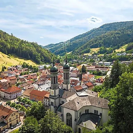 מלון Gruener Baum Naturparkhotel & Schwarzwald-restaurant 3*