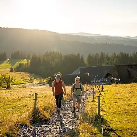 Gruener Baum Naturparkhotel & Schwarzwald-restaurant מלון 3*