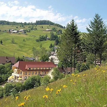 Gruener Baum Naturparkhotel & Schwarzwald-restaurant 3*