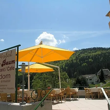 Gruener Baum Naturparkhotel & Schwarzwald-restaurant טודנאו