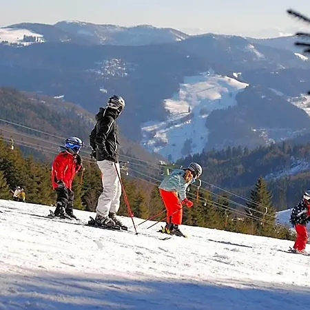 Gruener Baum Naturparkhotel & Schwarzwald-restaurant מלון טודנאו