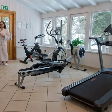Otel Gruener Baum Naturparkhotel & Schwarzwald-restaurant 3*