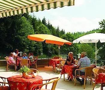 Gruener Baum Naturparkhotel & Schwarzwald-restaurant טודנאו