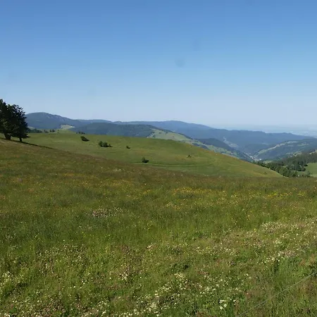Gruener Baum Naturparkhotel & Schwarzwald-restaurant Hotel
