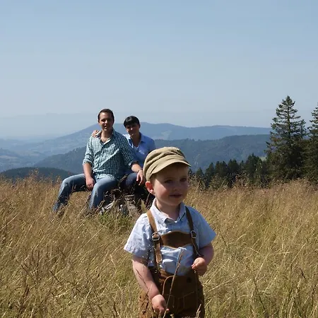Gruener Baum Naturparkhotel & Schwarzwald-restaurant טודנאו