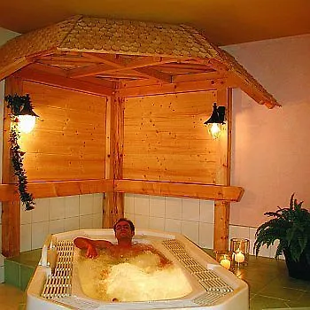 Gruener Baum Naturparkhotel & Schwarzwald-restaurant מלון