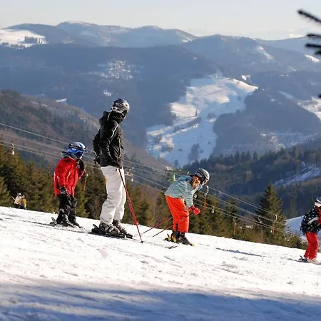 מלון Gruener Baum Naturparkhotel & Schwarzwald-restaurant