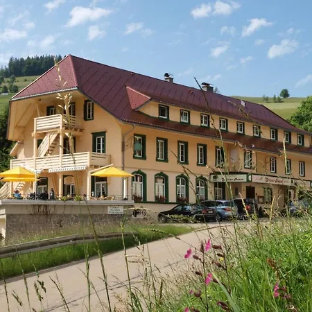 מלון Gruener Baum Naturparkhotel & Schwarzwald-restaurant 3*