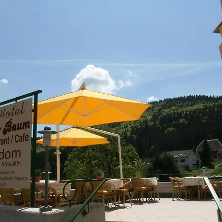 Gruener Baum Naturparkhotel & Schwarzwald-restaurant 3* טודנאו