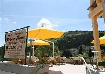 Grüner Baum Naturparkhotel&schwarzwald-restaurant