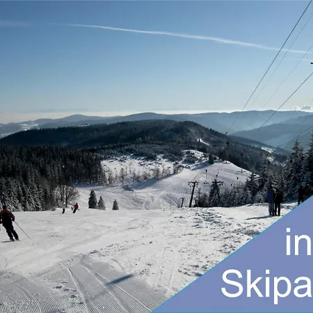 מלון Gruener Baum Naturparkhotel & Schwarzwald-restaurant 3*