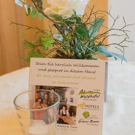 Gruener Baum Naturparkhotel & Schwarzwald-Restaurant 3* Todtnau